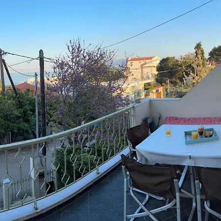 Elpida's Comfortable House