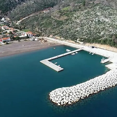 Elpida's Comfortable House *